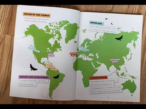 MOTHS by Ashley Gish Read Aloud Kids Storytime LEARN ABOUT INSECTS