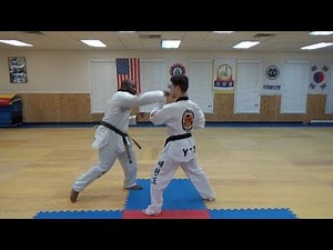 Taekwondo Form Breakdowns - White Belt