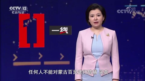 《一线》 20221028 草原疑踪