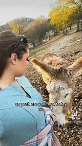 Getting Rooster to bray isn’t easy😂 | Katie Van Slyke