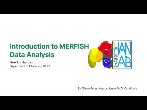 Foundations of Spatial Transcriptomics - Part 4 Introduction to MERFISH Data Analysis