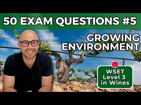 Vine Growing Environment: 50 Exam Questions I Video #5