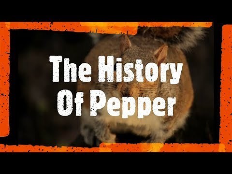 The History Of Pepper