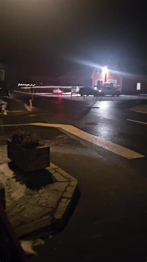 Emergency Response Insights from Feuerwehr Team