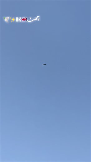 Exploring the Cultural Connection: UK and Pakistan