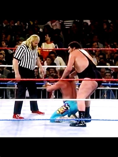 Andre The Giant vs. Jake “The Snake” Roberts Wrestling Match. #jakethesnakeroberts #andrethegiant #wrestling #match