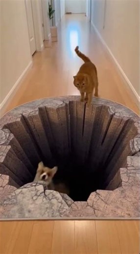 Cat Pushes Puppy Into 'Cliff' Illusion Rug 😱😂 #viral #cute