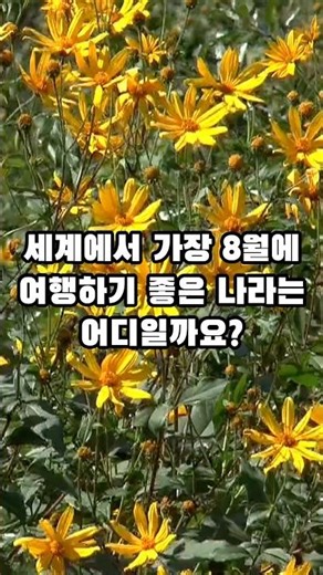 세계에서 가장 8월에 여행하기 좋은 나라 TOP10