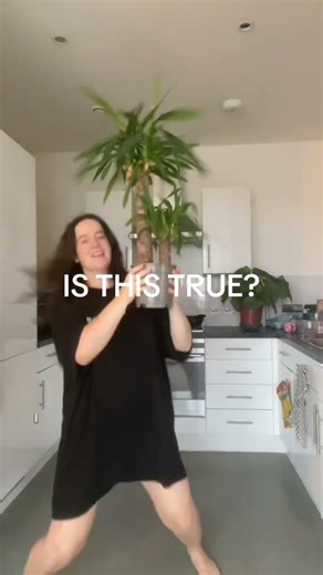 Let’s see if this works I guess!