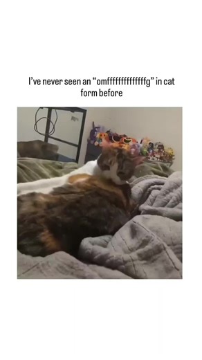 Cat Short-Circuits in Real Time