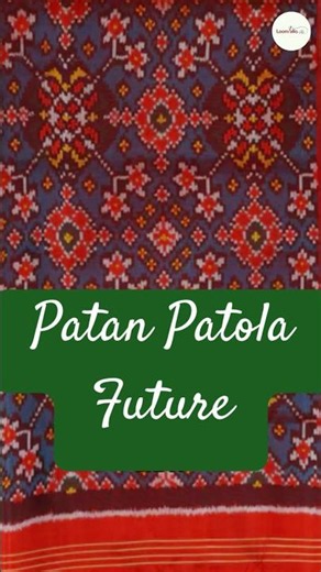 Forgotten Villages of India Patan Patola 5