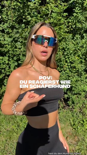 #dog #GermanShepherd #dogs #dogs