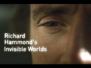 Documentary: Invisible Worlds
