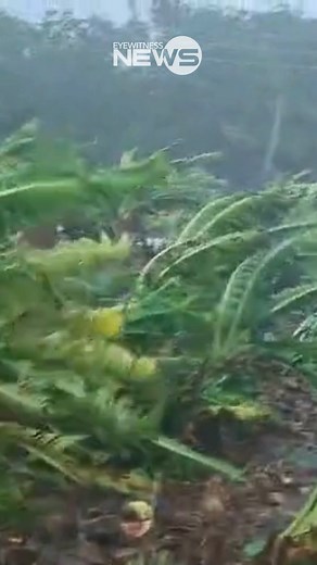 47K views · 266 reactions | SEVERE WEATHER: Residents of Long Island are contending with severe conditions as strong winds and heavy rainfall signal the arrival of Hurricane Melissa, prompting safety precautions across the area. | Eyewitness News Bahamas | Facebook