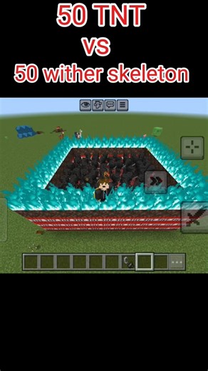 50 TNT vs 50 wither skeleton#gaming #minecraft #shortvideo