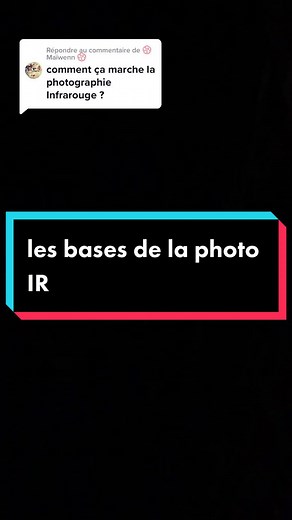 Introduction à la photographie infrarouge