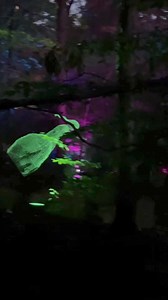 4.4K views · 93 reactions | Chicken wire ghost #halloweendiy | Holly Auna | Facebook