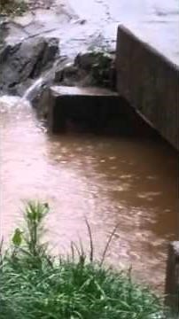 SC 2015 flood Coldstream