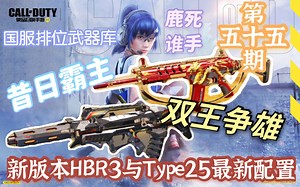 新版本昔日霸主HBR3与Type25双王争雄！配置推荐以及细致解析！使命召唤手游【国服排位武器库】