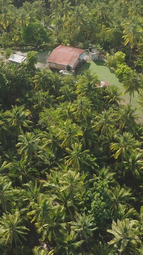 JAMAICA offers something for everyone, whether you're looking for excitement, leisure, a romantic getaway, interesting cultural experiences, or stunning natural wonders. This is an invitation for you to return to being the best version of yourself and discover the magic of our beautiful island. Book your trip to JAMAICA by July 31st and get up to 65% off your hotel stay✈️🇯🇲 #JamGetaway #VisitJamaica #SummerDeals | VisitJamaica