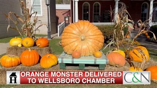 An orange monster sits outside the Chamber of Commerce in Wellsboro, area fire departments and police agencies will gather in Mansfield later this month, and a local coach is named PIAA football coach of the year. These are the stories today on HPN News - brought to you by C&N. | Wellsboro Home Page