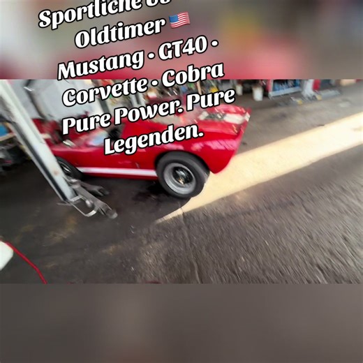 Sportliche amerikanische Oldtimer 🇺🇸 Ikonen wie Mustang Eleanor, GT40, Corvette C1 & C3 und Cobra. Pure Leistung, zeitloses Design und echte amerikanische Motorsport-Geschichte. Diese Fahrzeuge sind Legenden – gebaut für Emotionen, nicht für Kompromisse. #uscar #oldtimer #racing #classicracing #americancar