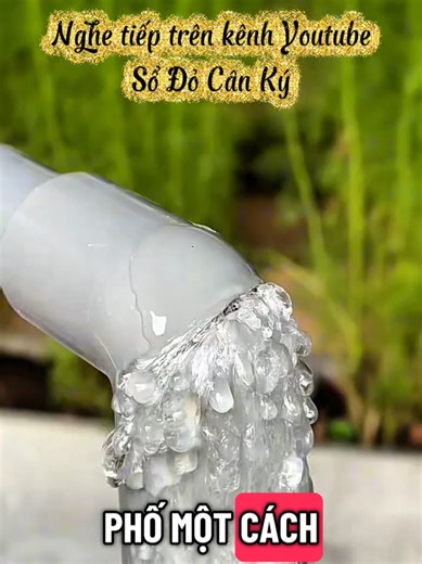 Sổ Đỏ Cân Ký Số 59 Xem tiếp trên kênh YTb Sổ Đỏ Cân Ký #truyenaudio #audio #xuhuong #kechuyen #ngontinh