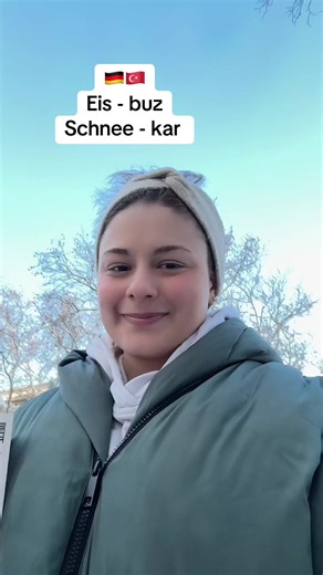 Learn German Vocabulary: Eis and Schnee Explained