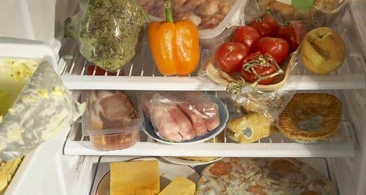 World Health Day: Why it is important to cover food? | TheHealthSite.com