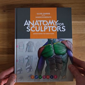 As artists, we don't need complicated medical text. We need visual anatomy references to understand better how to create it. Our book provides just that! | Anatomy For Sculptors | Facebook