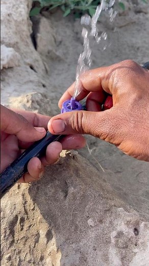 how to replace drip irrigation emitters #drip #irrigation #agriculture #shorts #youtubeshorts