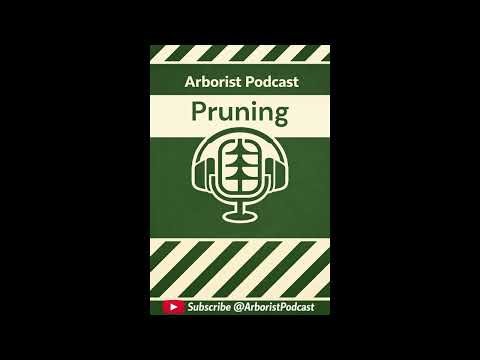 Core Concepts Pruning Every ISA Arborist Must Know #CertifiedArborist #ISAExamPrep #TreePruning