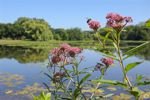 Living in the Creston Neighborhood of Grand Rapids, MI