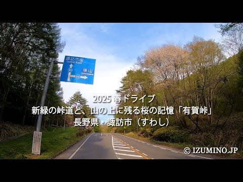 2025 春ドライブ｜新緑の峠道と、山の上に残る桜の記憶「有賀峠」｜長野県・諏訪市（すわし）
