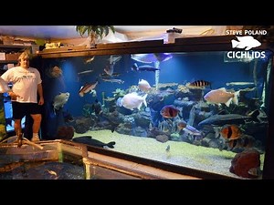 Big Tanks, Big Fish, and Big Rich - Touring Ohio Fish Rescue