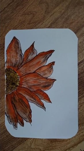 water colour 🌹🌼💐drawing tutorial beginners