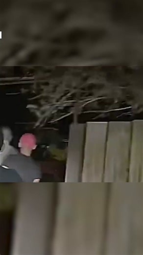 Las Vegas alien video shows at least 2 ‘beings’ using ‘cloaking’ device.