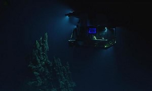 Mariana trench live feed: engrossing viewing from deepest place on Earth