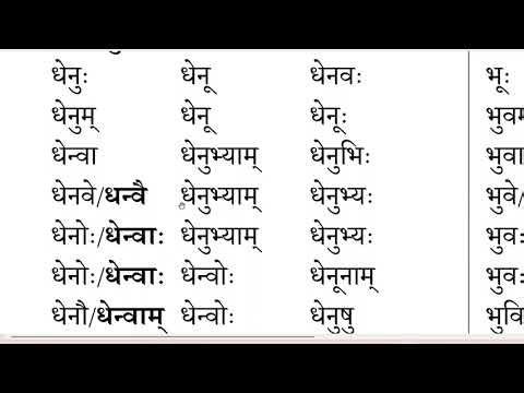 Sanskrit Batch 02 Lesson 127 How to understand Dhenu Shabd Roop with meaning? धेनु शब्द 9080874361