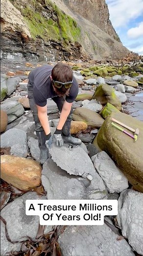 We spotted a MASSIVE shale landslide packed with fossils! 🤯 Then we found these incredible stones