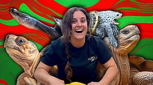 16K views · 366 reactions | In this exciting video, we’re diving deep...