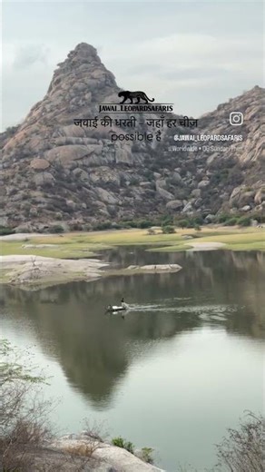 uncaptured jawai