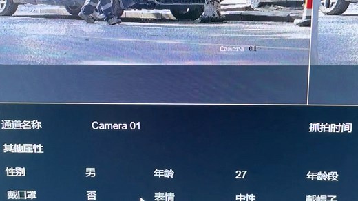 海康威视结构化人脸抓拍摄像机，人脸，人体，车辆。