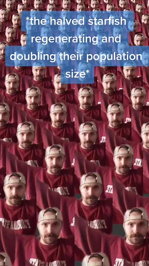 foreveralogan on TikTok