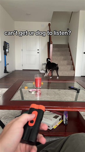 #barking #dog #training #pets #tiktokshopcreatorpicks | Dog Barking Training