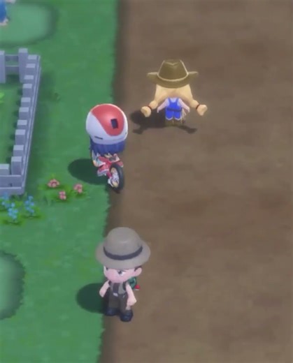 A Useless But Fun Glitch In BDSP