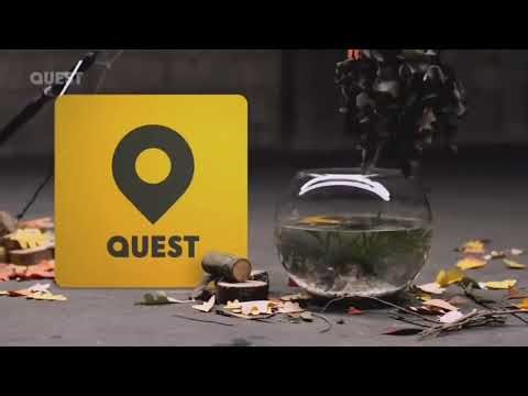 Quest: Ident (1/4/24)