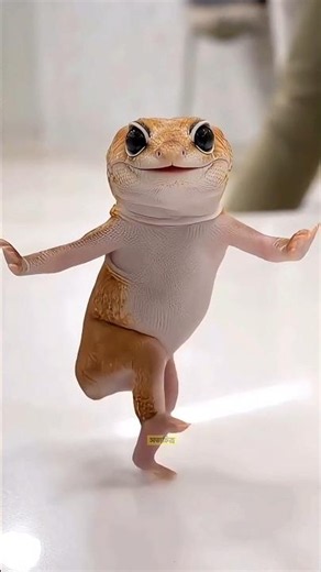 The Cuteness of a Leopard Gecko #shorts