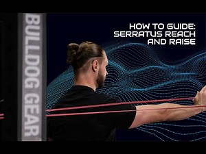 Try the serratus reach and raise for overhead shoulder stability // Dynamic Shoulders