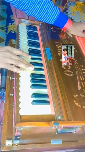 Mahboob Mere #harmonium #music #shorts #trendingshorts #virals